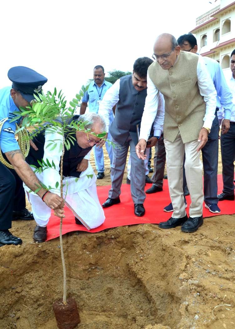 Plantation Image 1