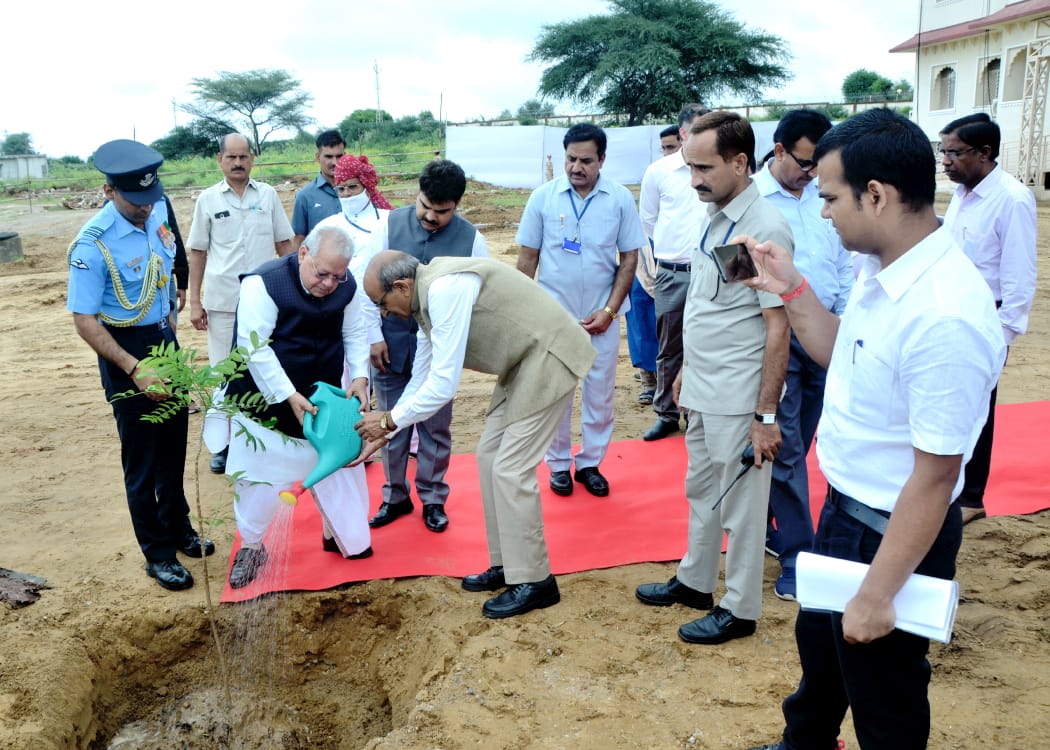 Plantation Image 2