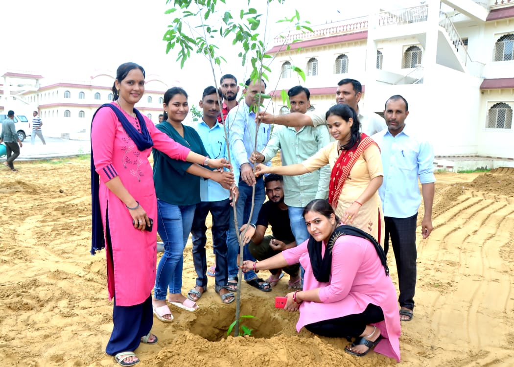 Plantation Image 3