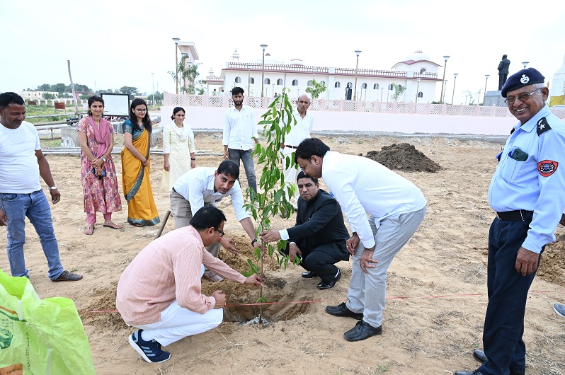 Plantation Image 5