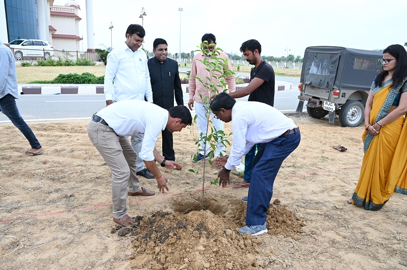 Plantation Image 6