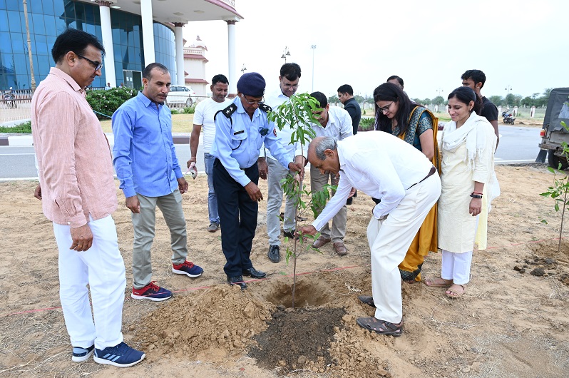 Plantation Image 4